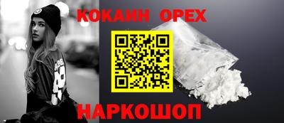 дмт Аргун