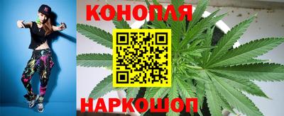 дмт Аргун