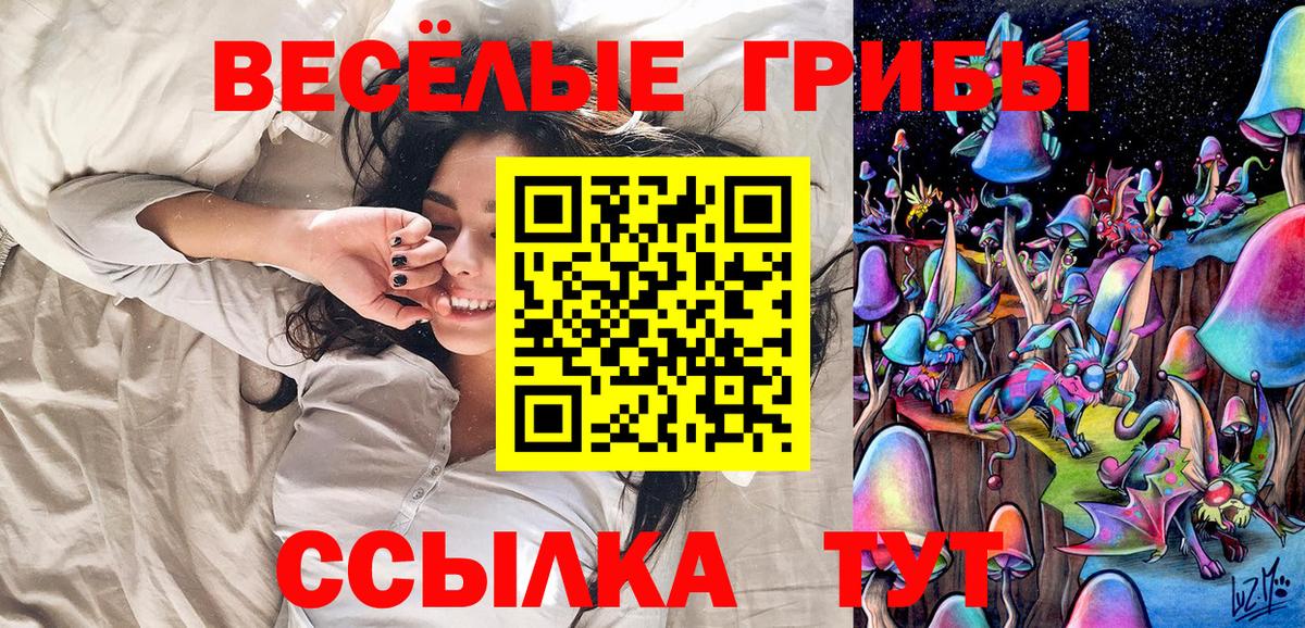 Псилоцибиновые грибы Psilocybine cubensis  Вход с VPN  Ачхой-Мартан 