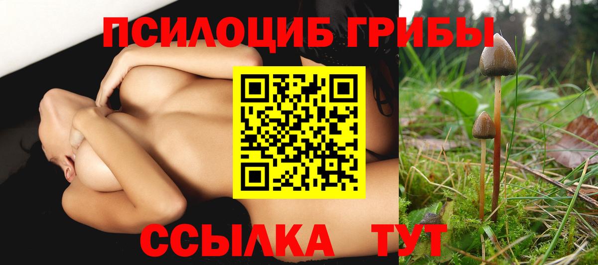 Галлюциногенные грибы GOLDEN TEACHER Ачхой-Мартан